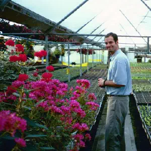 Greenhouse Colin